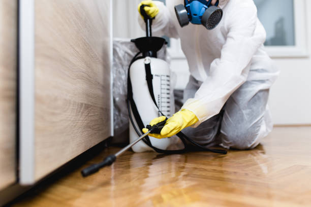 Best Ant Control Services  in Sandersville, GA