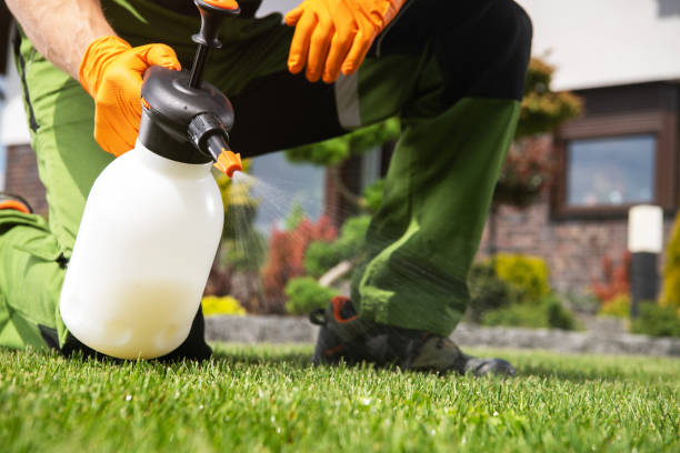 Best Insect Control  in Sandersville, GA