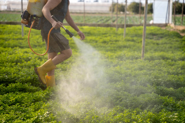 Best Mosquito Control Services  in Sandersville, GA