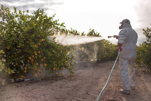Best Wildlife Control Services  in Sandersville, GA