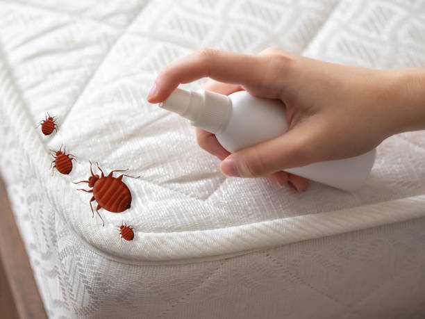 Best Spider Control Near Me  in Sandersville, GA