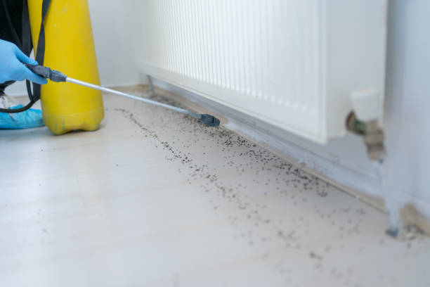 Best Emergency Pest Control  in Sandersville, GA