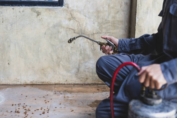 Best Wasp Removal Services  in Sandersville, GA